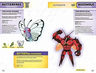 Libro - Pokemon Super Extra Delux Guía Esencial Def — imagen 4