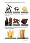 Libro - Cocina Silvestre - Elena Iakovleva — imagen 5
