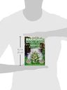Libro - Marihuana: Horticultura De Cannabis - Jorge Cervante — imagen 4