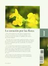 Libro - La Curación Por Las Flores - Bach, Edward — imagen 2