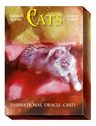 Cats Inspirational Oracle Cards Cartas - Barbara Moore — imagen 3