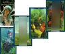 Tarot De Las Hadas Celtas (instructivo + Cartas) — imagen 3