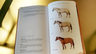 Libro - Guía De Pelajes Del Caballo Criollo - Romero F. — imagen 3