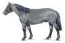 Libro - Guía De Pelajes Del Caballo Criollo - Romero F. — imagen 7