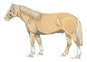 Libro - Guía De Pelajes Del Caballo Criollo - Romero F. — imagen 8