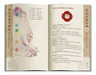 Libro - Chakras Kit The Seven Doors Of Energy Laura Tuan — imagen 3