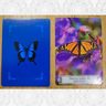 Cartas - El Oráculo De La Transformación - Doreen Virtue — imagen 4