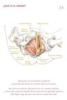 Libro - Cuaderno Para Un Perine Despierto Y Relajado - Núria — imagen 5