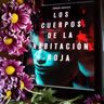 Libro - Los Cuerpos De La Habitación Roja - Iñigo Aguas — imagen 8