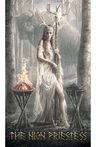 Cartas - Tarot Runic Runas Runico - Sephiroth, Jack — imagen 9