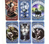 Cartas - Anne Stokes Legends Tarot — imagen 7