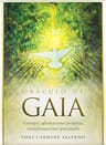 Oraculo De Gaia Cofre Con 45 Cartas Y Libro — imagen 1