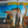 20 Revistas Enciclopedia De Los Animales National Geographic — imagen 4