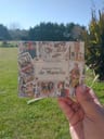 Cartas - Pequeño Oráculo De Marsella - Marianne Costa — imagen 6