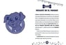 Libro - La Pandilla Perruna (las Aventuras De Lana) Vv.aa. — imagen 4