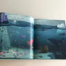 Libro - Aquí Estamos - Jeffers, Oliver — imagen 4