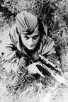 Libro - La Francotiradora De Stalin - Lyudmila Pavlichenko — imagen 7