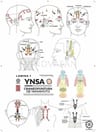 Libro - Ynsa Craneopuntura De Yamamoto - Juan Hahn — imagen 3
