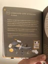 Libro -  Mindfulness Para Padres Y Madres -  Claire Gillman — imagen 5