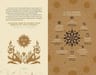 Libro  Manual De La Bruja Novata. Aigua De Valencia. Alfagua — imagen 4