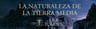 Libro - J. R. R. Tolkien - La Naturaleza De La Tierra Media — imagen 2