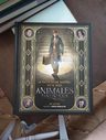 Libro - Magia Desde Dentro: Así Se Hicieron Animales Y Dónde — imagen 4
