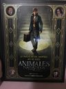 Libro - Magia Desde Dentro: Así Se Hicieron Animales Y Dónde — imagen 7