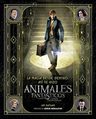 Libro - Magia Desde Dentro: Así Se Hicieron Animales Y Dónde — imagen 1