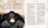 Libro Harry Potter Y La Piedra Filosofal  Ilustrado Rowling — imagen 4