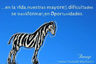 Libro - Sawai Prakash 21 Cuentos Verdaderamente Cuenta — imagen 4