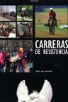 Carreras De Resistencia. Caballos Caballo Equitación — imagen 1