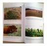 Pastoreo Racional Voisin Ganaderia Agricultura — imagen 4