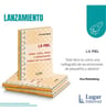La Piel Bebés Niños Niñas Y Adolescentes Rotenberg — imagen 4