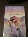 La Experiencia Angelica, Angeles. Terry Lynn Taylor — imagen 4