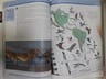 Manual Del Observador De Aves - Andrés Bosso — imagen 2