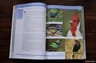 Manual Del Observador De Aves - Andrés Bosso — imagen 5