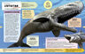 Dinosaurios Y Monstruos Prehistoricos Para Principiantes — imagen 2