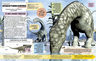 Dinosaurios Y Monstruos Prehistoricos Para Principiantes — imagen 4
