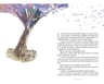 Boulevard 1: Edición Ilustrada - Flor M. Salvador — imagen 4