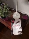 Reir Al Viento - Barneda, Sandra — imagen 7