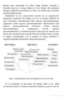 Hongos Comestibles - Lechner Bernardo — imagen 6