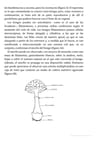 Hongos Comestibles - Lechner Bernardo — imagen 7