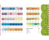 200 Puntos De Ganchillo Crochet - Guia Paso A Paso — imagen 2