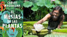 El Mesías De Las Plantas - Carlos Magdalena — imagen 4