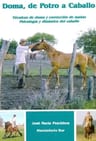 Doma , De Potro A Caballo - José M Peschiera Hemisferio Sur — imagen 1