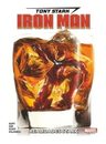 Libro - Tony Stark Iron Man 2 Realidades Stark - Marvel — imagen 1