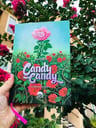 Candy Candy La Historia Definitiva - Keiko Nagita — imagen 6