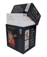 Fichas De Autoevaluación Netter Flashcards De Anatomía — imagen 3