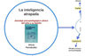 Inteligencia Atrapada, Alicia Fernández — imagen 2