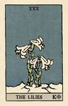 Pixie's Astounding Lenormand Original En Lata Stock Local — imagen 5